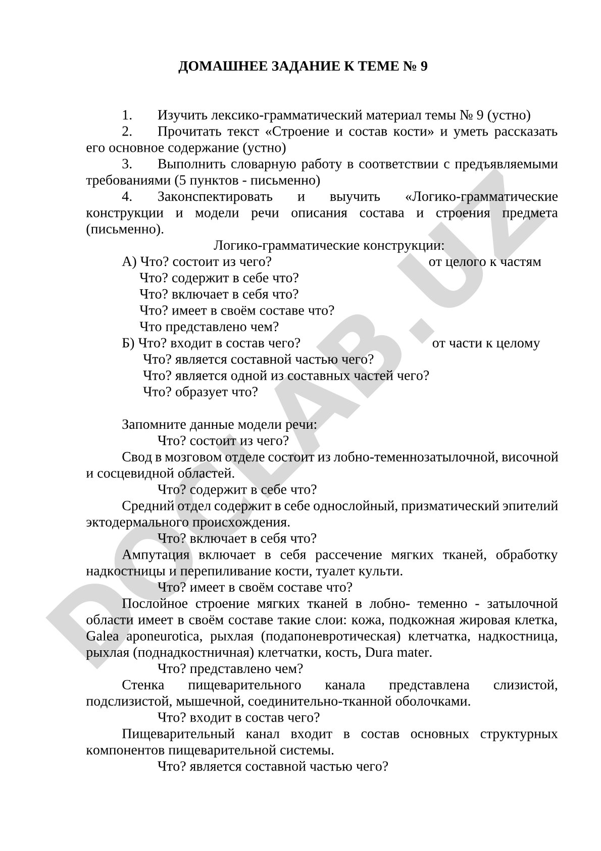 Строение и состав кости