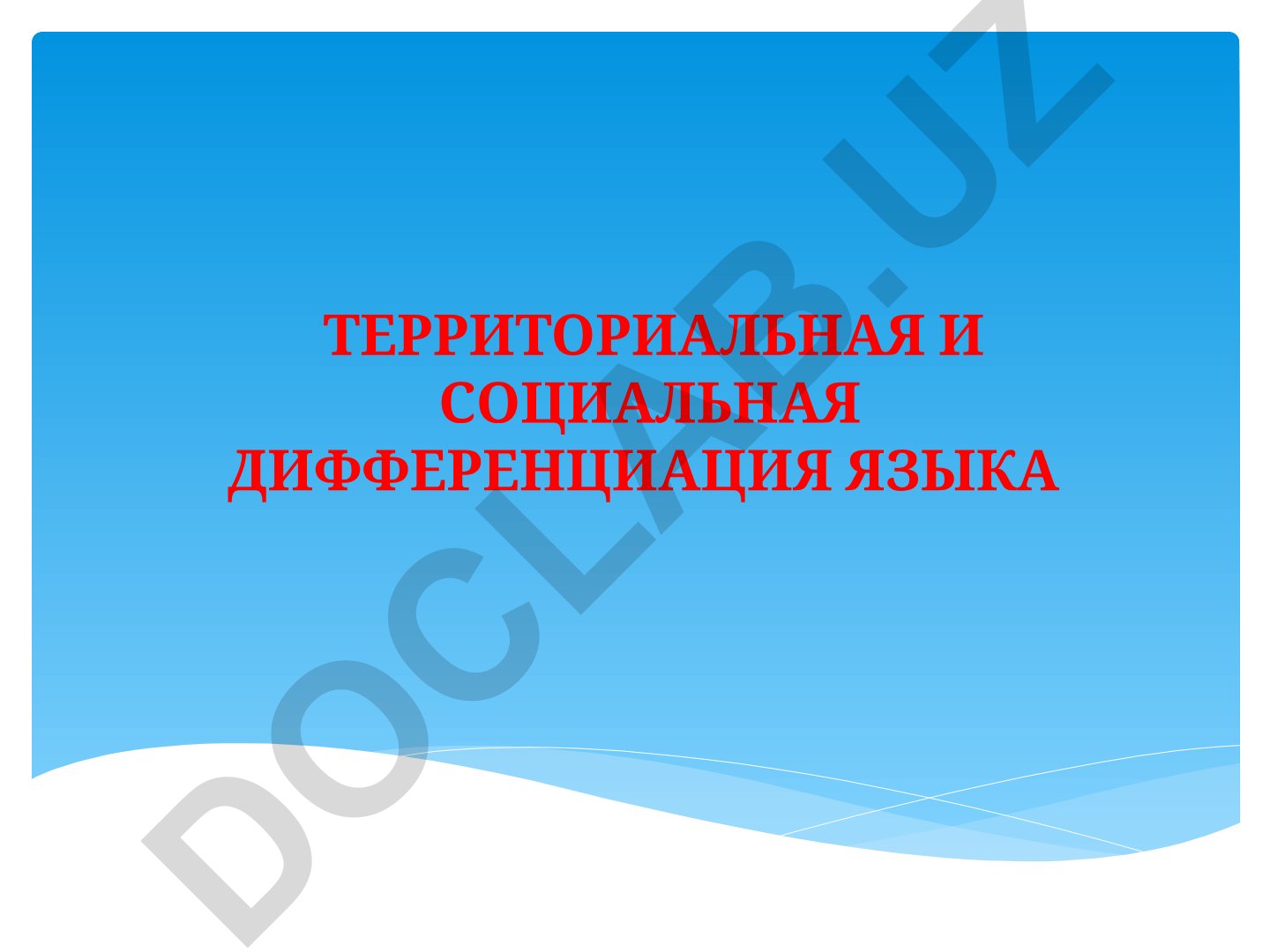 Территориальная и социальная дифференциация языка