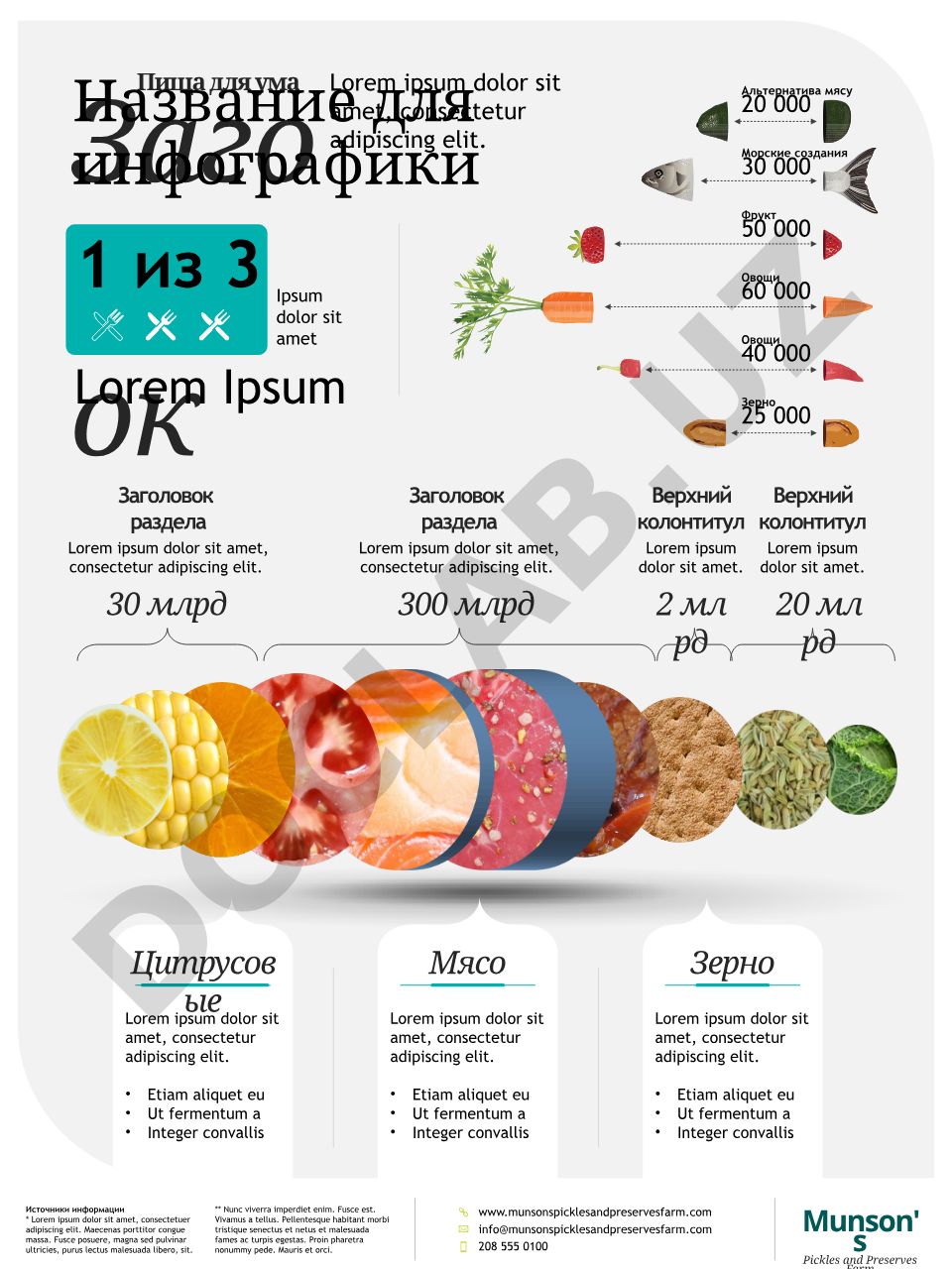 Пища для ума