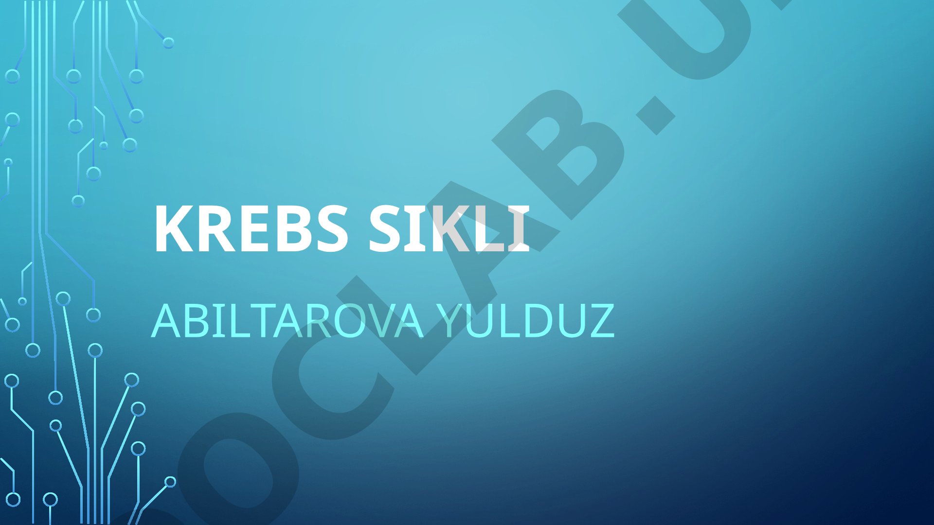 Krebs sikli