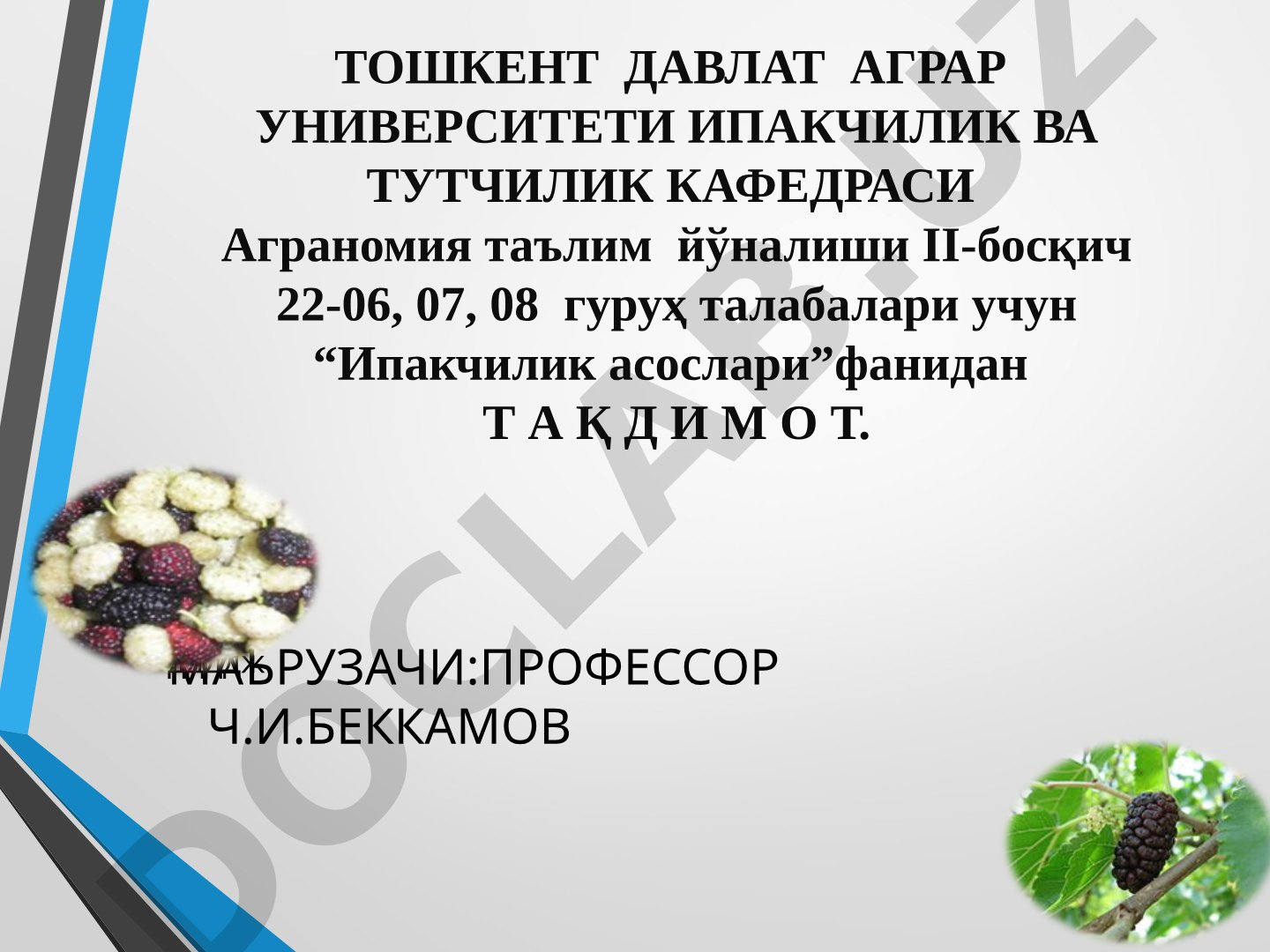 Махсус уруғлик ва озуқа берувчи тутзорлар ташкил қилиш, парваришлаш агротехнологияси ҳамда баргидан мавсумий фойдаланиш усуллари