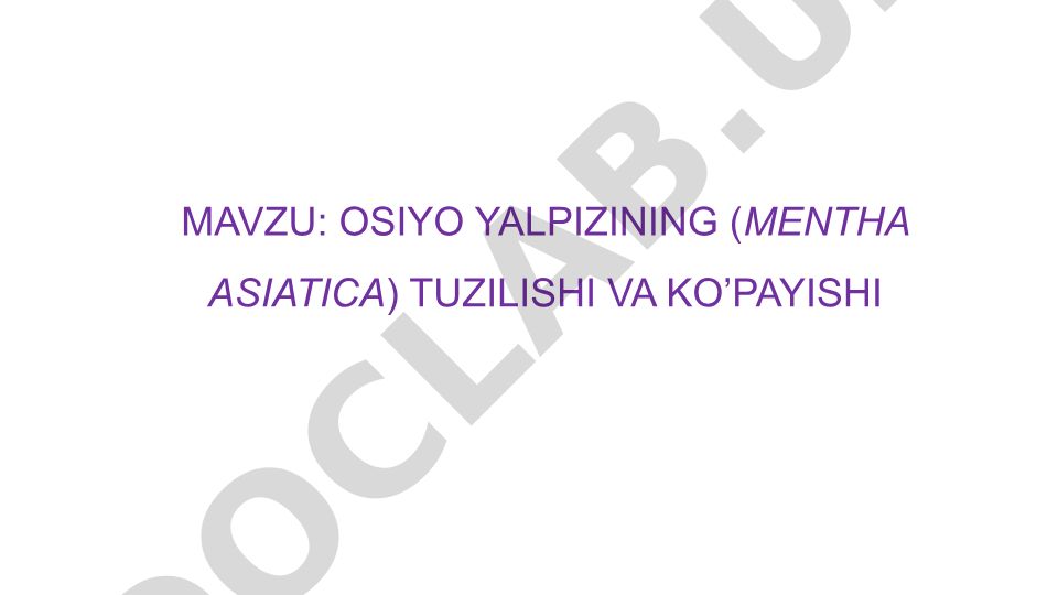 OSIYO YALPIZINING (MENTHA ASIATICA) TUZILISHI VA KO’PAYISHI