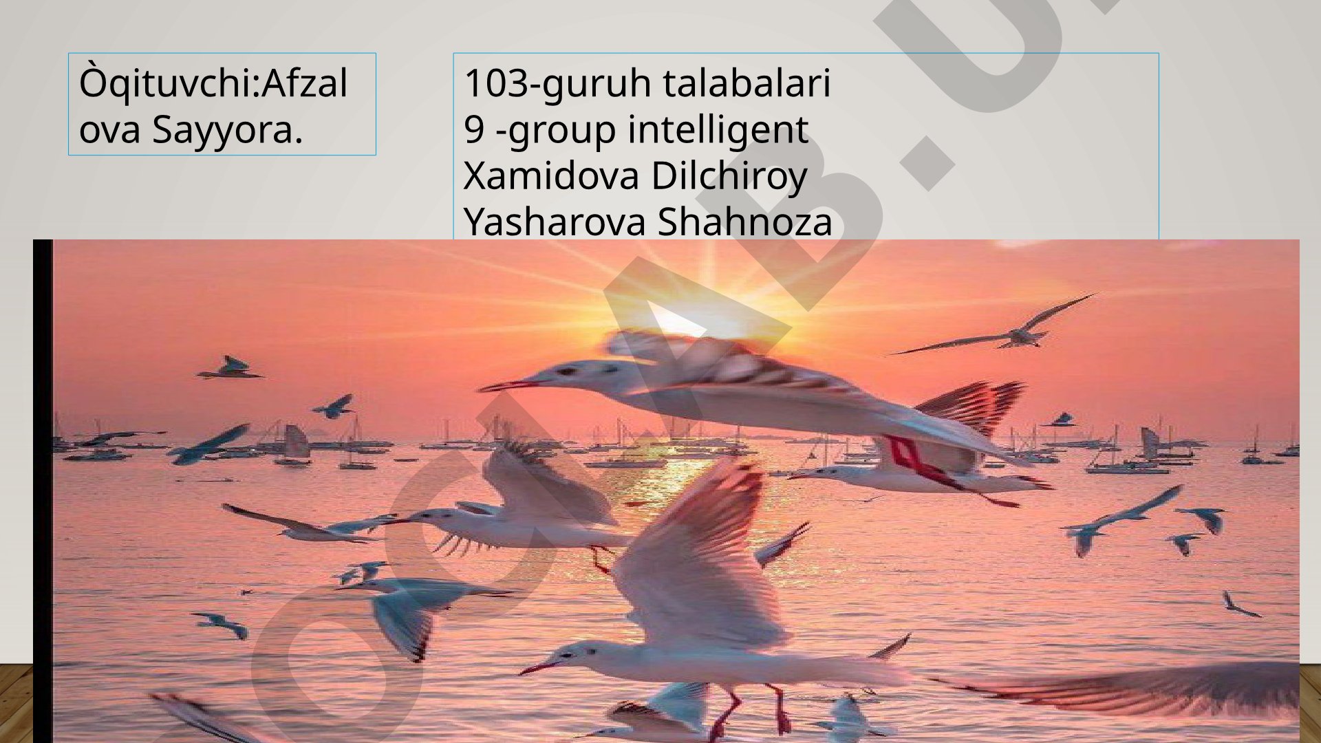 Kòrish ORGANLARINING TUZILISHI