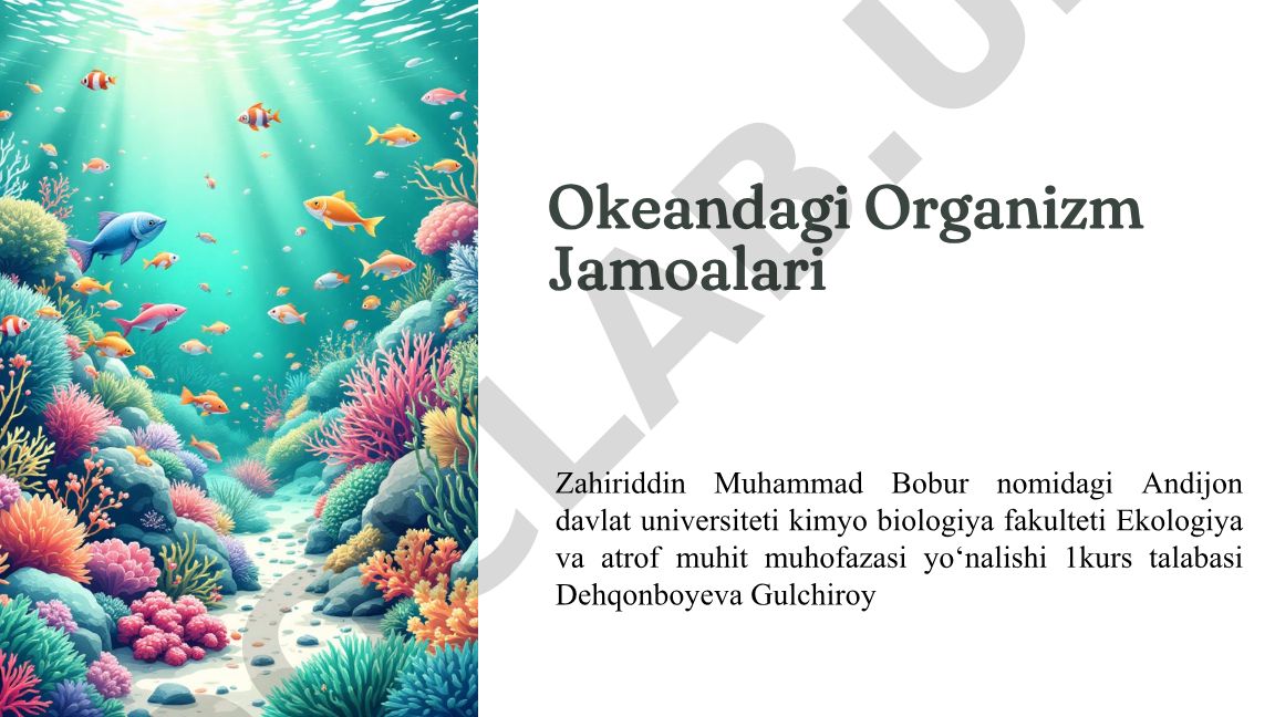 Okean ekotizimlari va organizm jamoalari