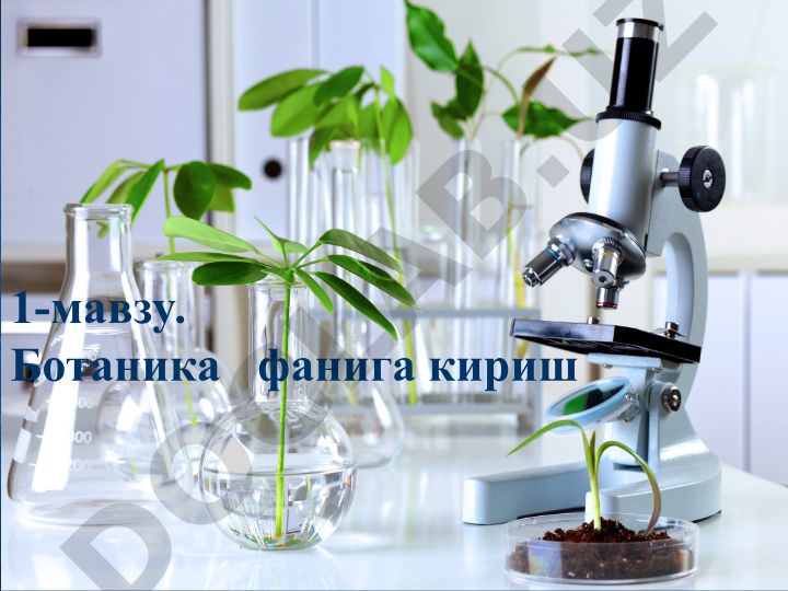 Ботаника фанига кириш