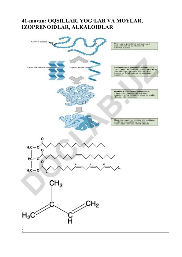 Oqsillar, yog‘lar va moylar, izoprenoidlar, alkaloidlar
