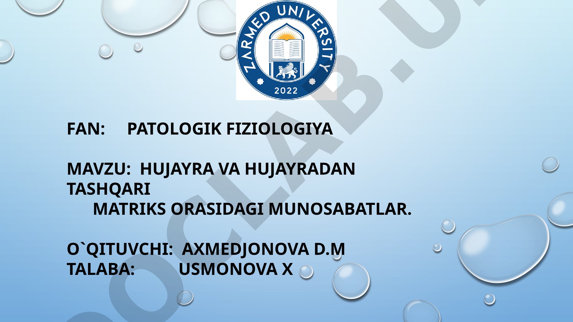 Hujayra va hujayradan tashqari matriks orasidagi munosabatlar