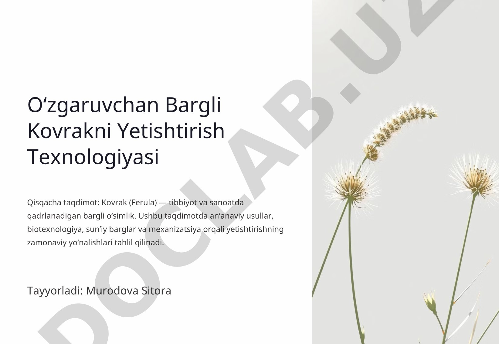 Oʻzgaruvchan Bargli Kovrakni Yetishtirish Texnologiyasi