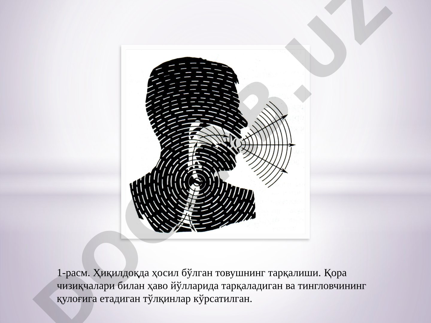 Товуш тўлқинлари ва уларнинг тарқалиши