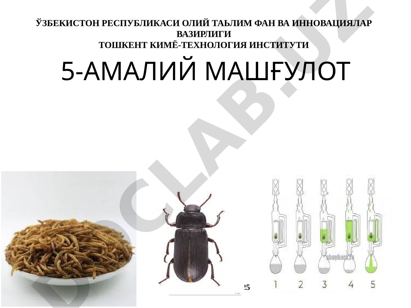 Озиқ-овқат хавфсизлиги ва чорвачиликнинг ривожланиши