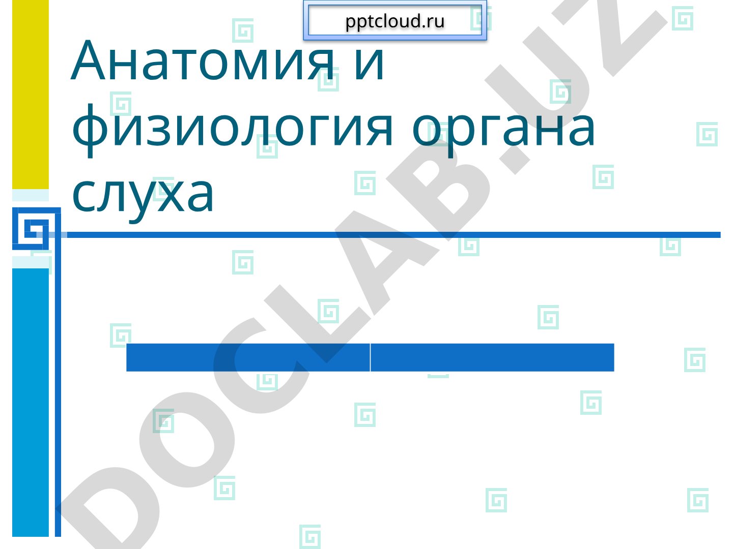 Анатомия и физиология органа слуха