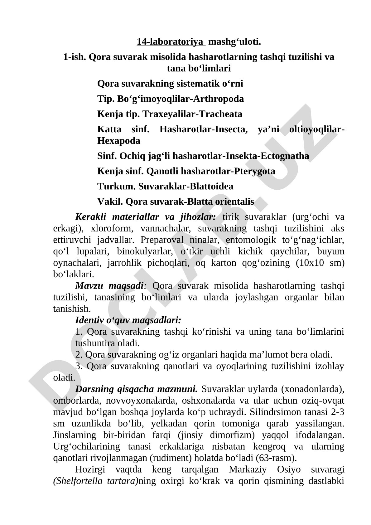 Qora suvarak misolida hasharotlarning tashqi tuzilishi va tana bo'limlari