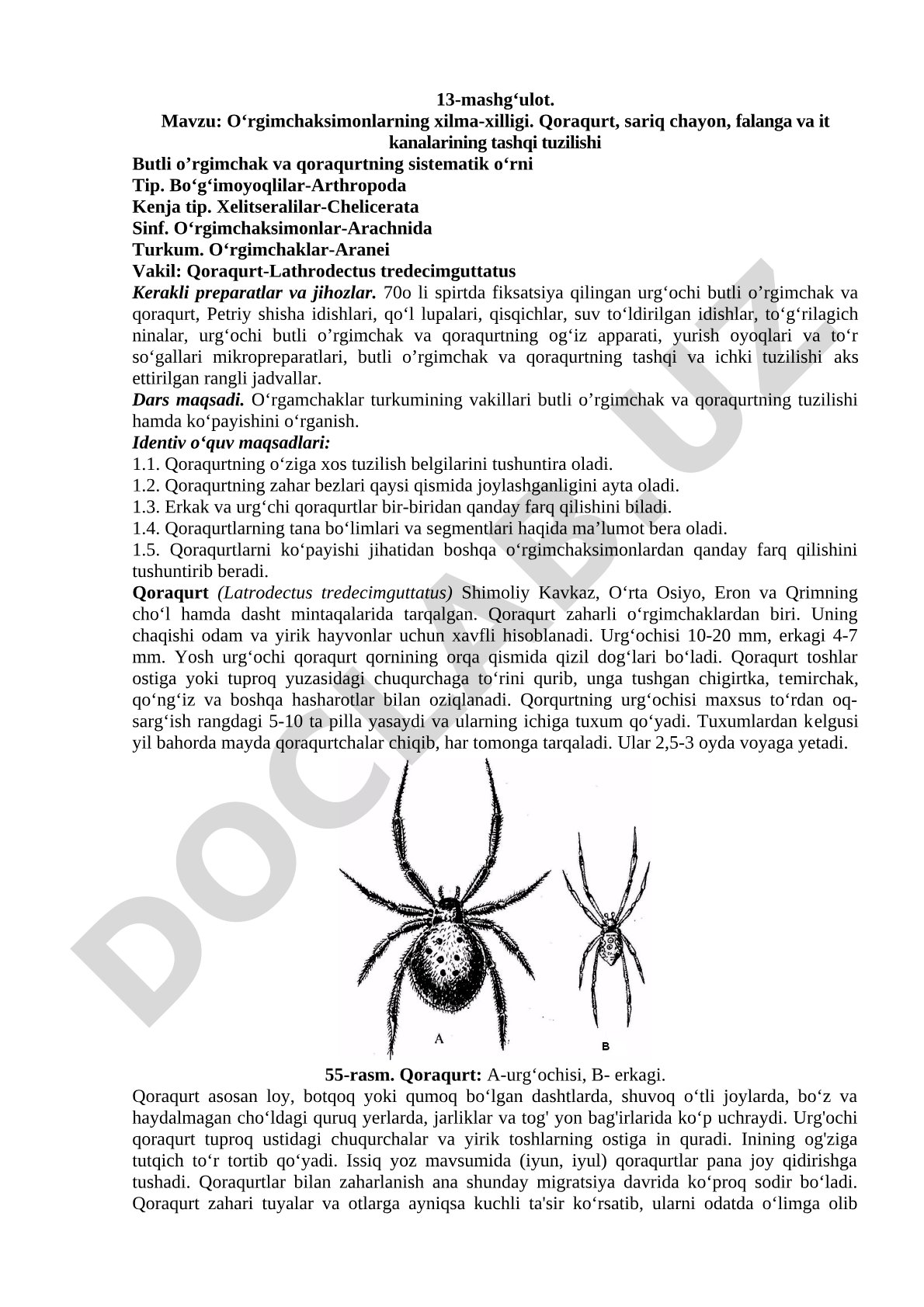 O‘rgimchaksimonlarning xilma-xilligi