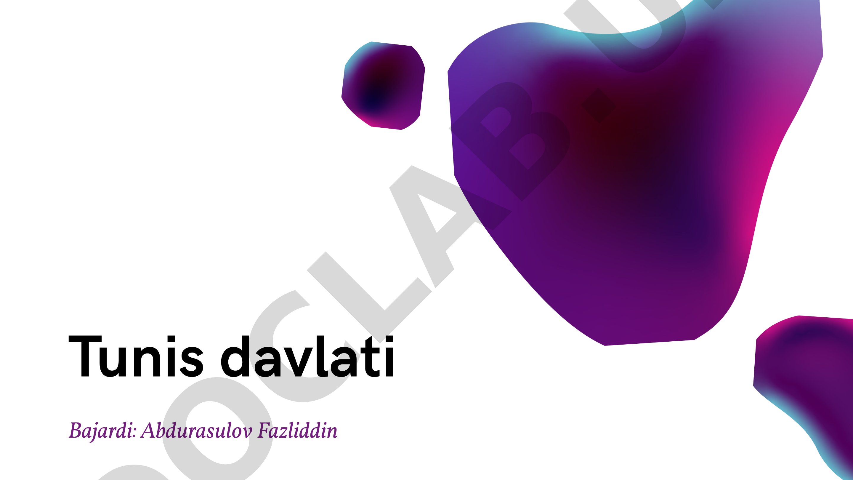 Tunis davlati iqtisodiyoti, sanoati, ta'limi, turizmi va ijtimoiy ahvoli haqida