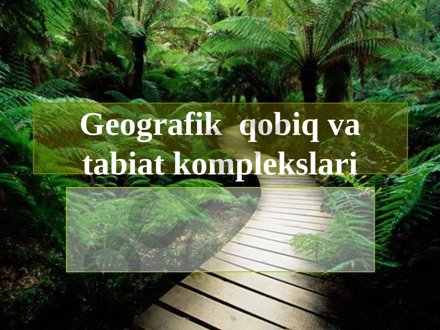 Geografik qobiq va tabiat komplekslari