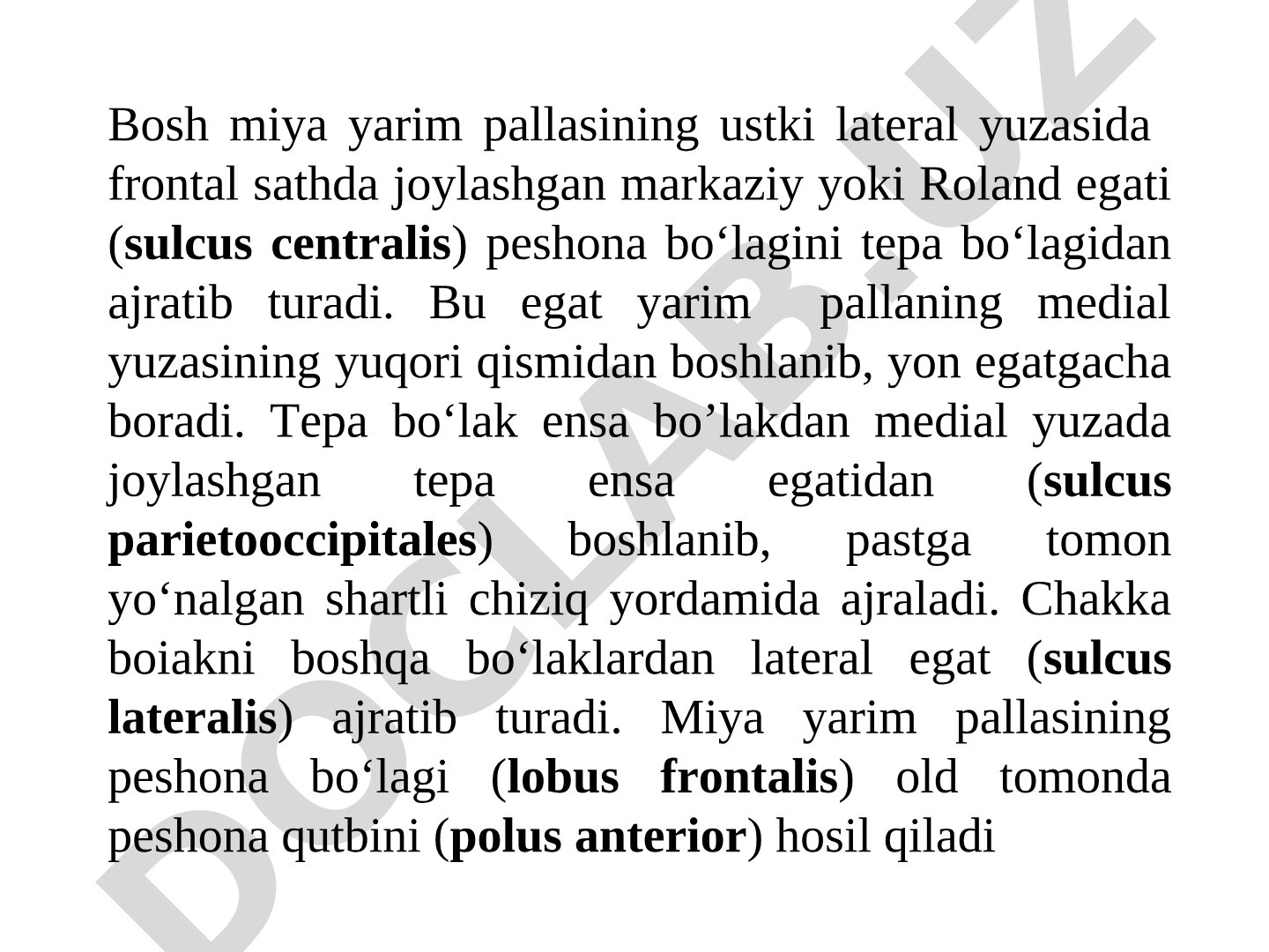 Bosh miya yarim pallasining egatlari va pushtalari