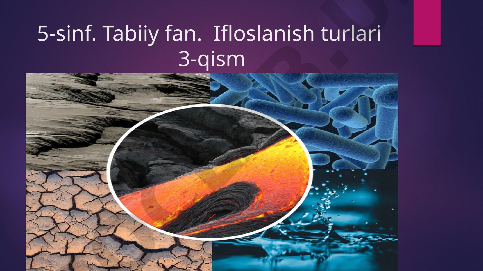 Ifloslanish turlari: global isish va elektromobillar