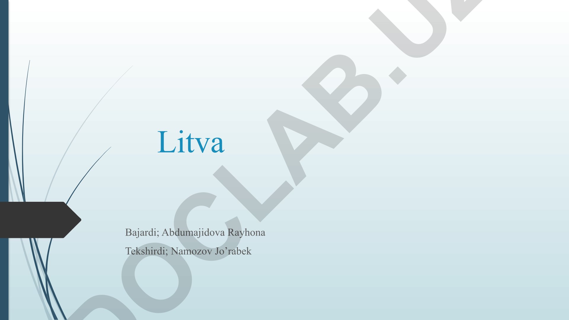 Litva Respublikasi haqida ma'lumot