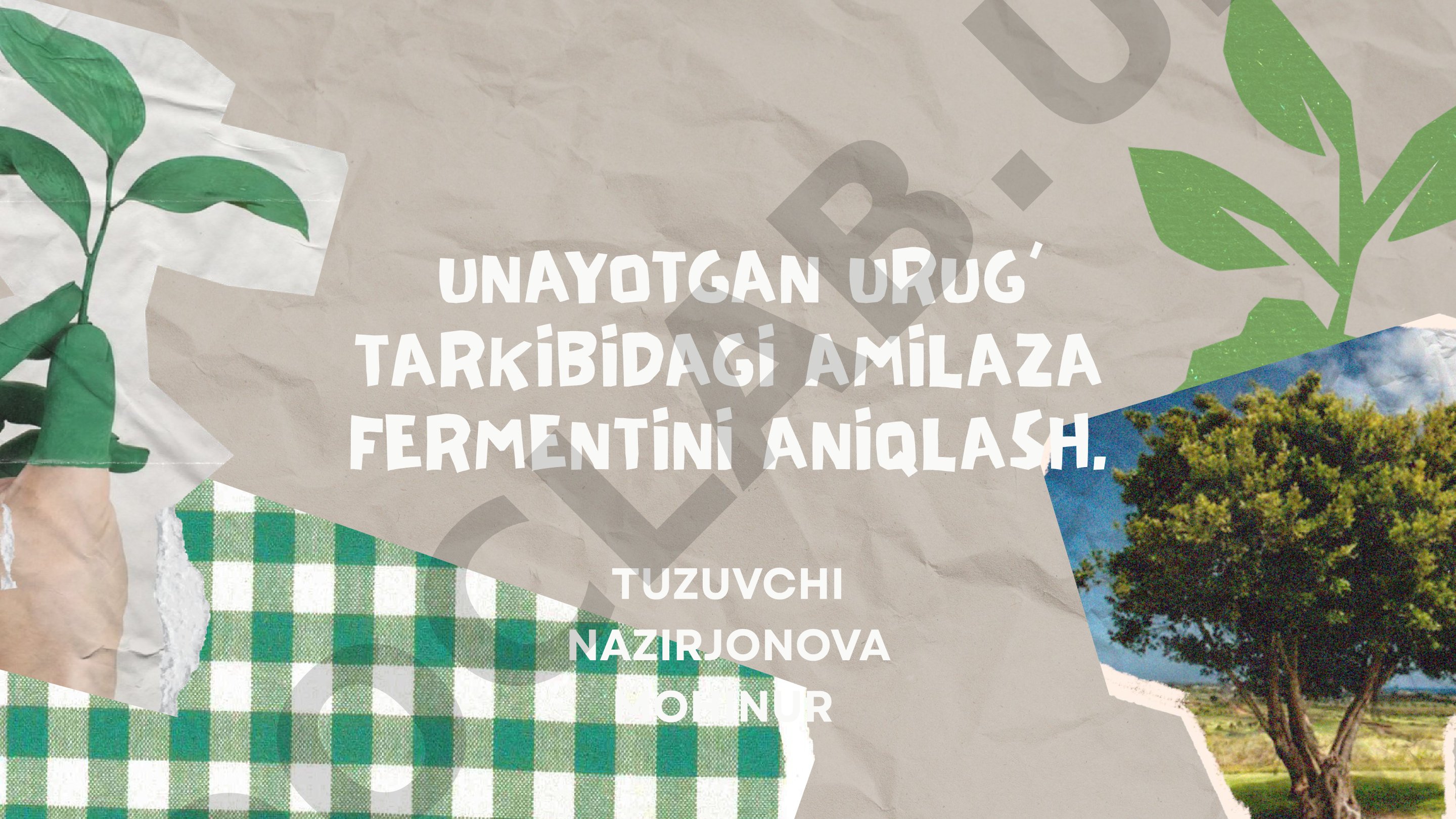 Unayotgan urug‘ tarkibidagi amilaza fermentini aniqlash.