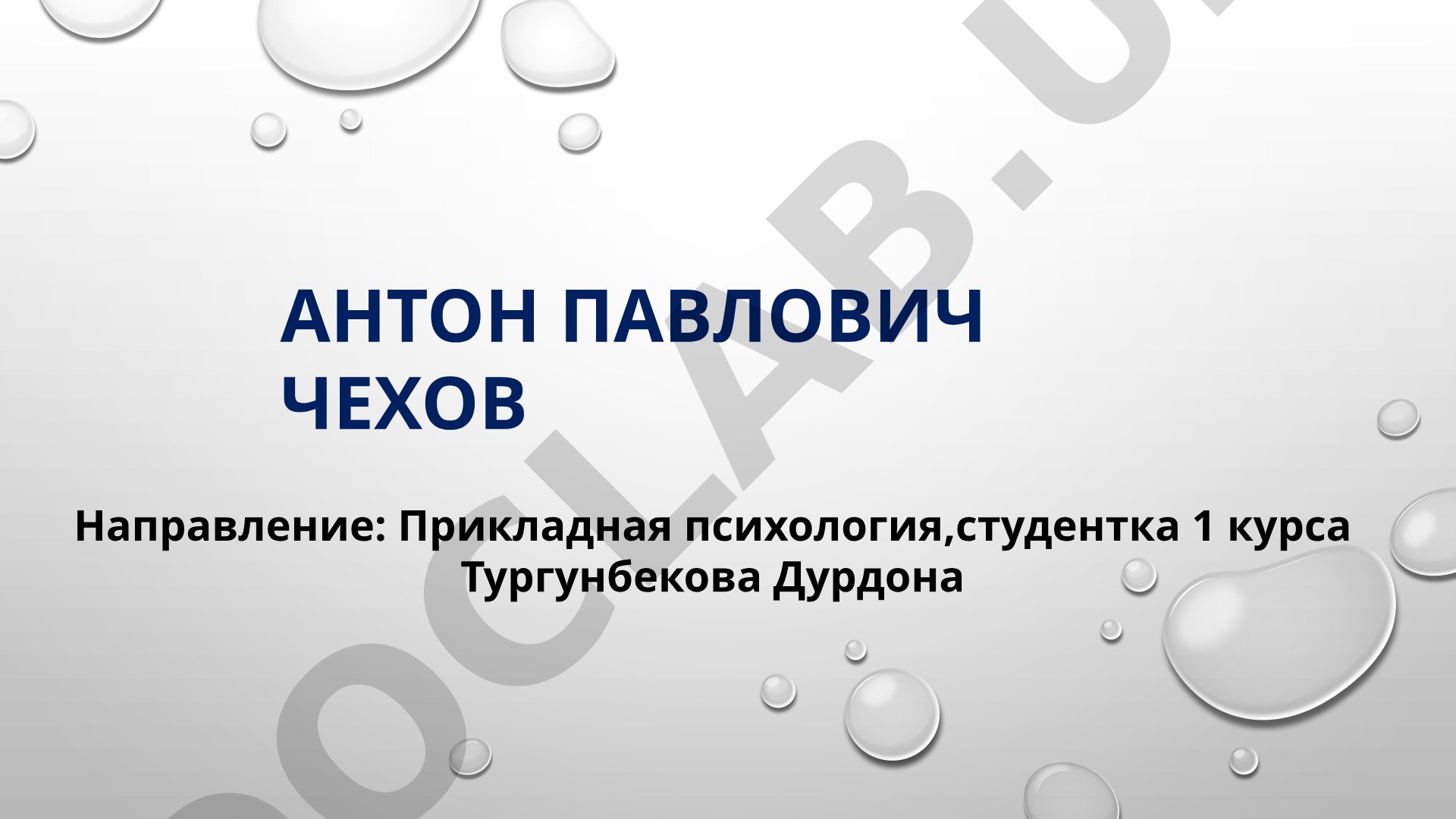 Биография Антона Павловича Чехова: жизнь, творчество и семья