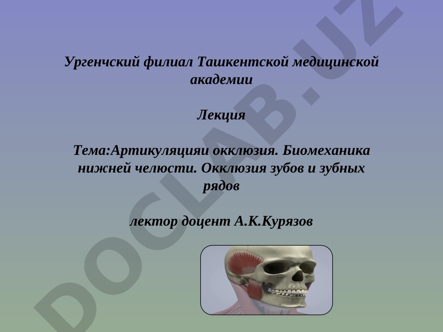 Артикуляция и окклюзия. Биомеханика нижней челюсти. Окклюзия зубов и зубных рядов