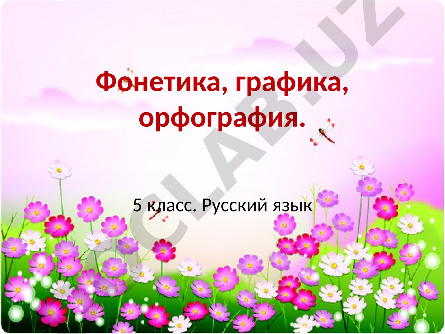Фонетика, графика, орфография. 5 класс. Русский язык