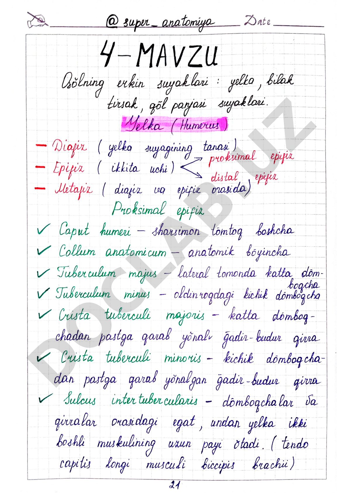 Page numbering in a PDF