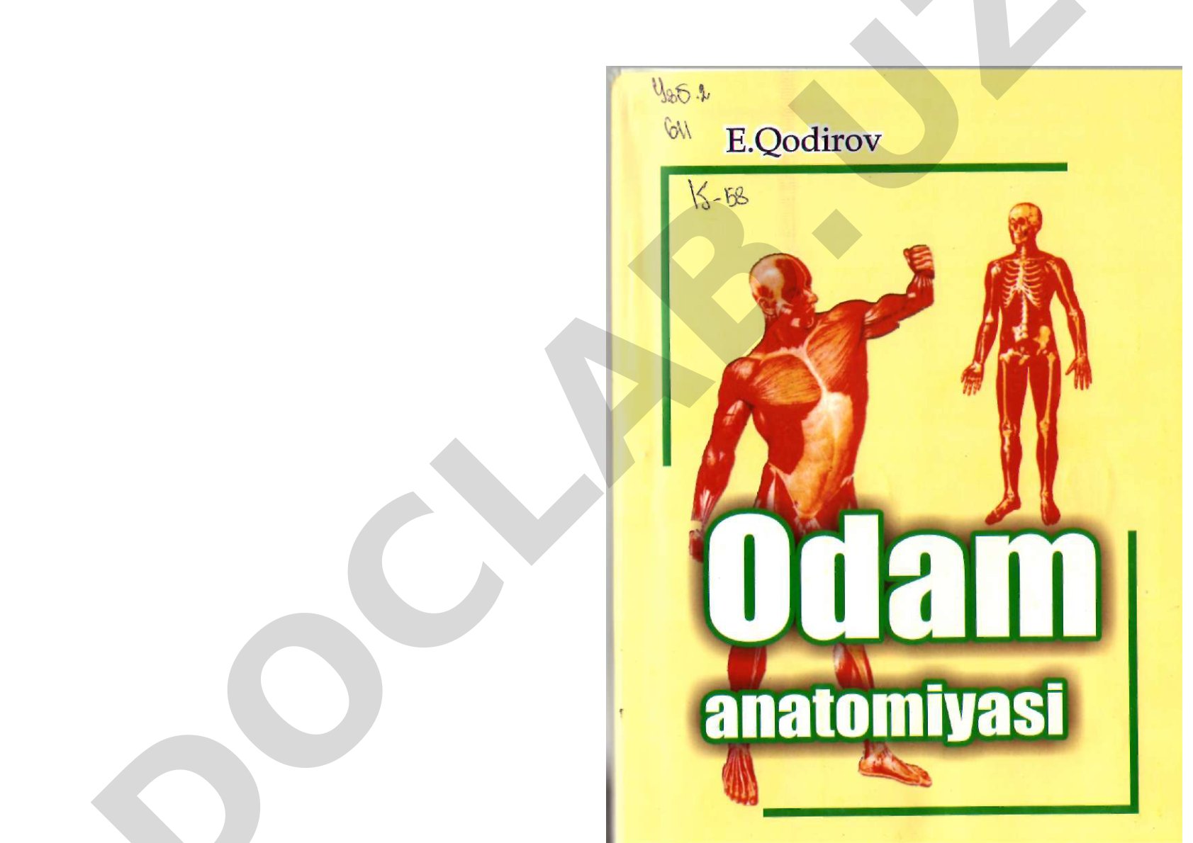 Odam anatomiyasi