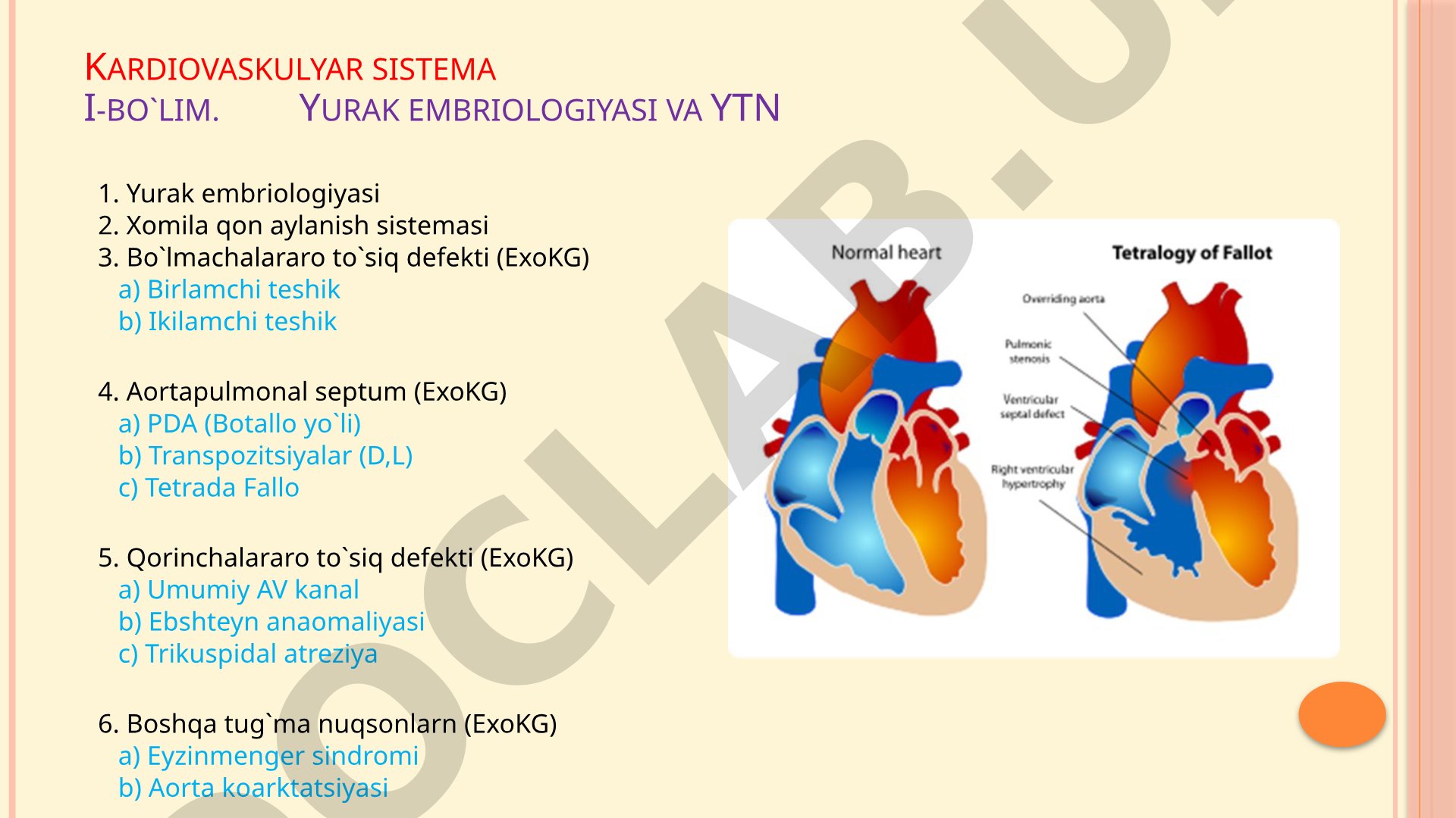 Yurak embriologiyasi, tug'ma nuqsonlar, gemodinamika va EKG asoslari