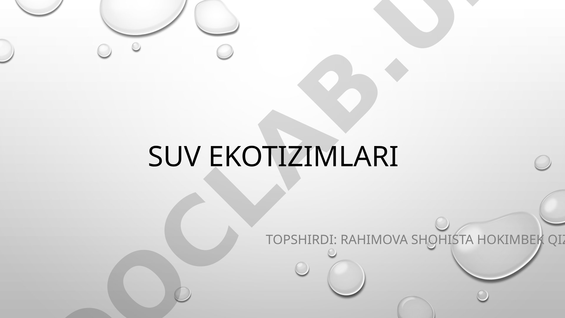 Suv ekotizimlari