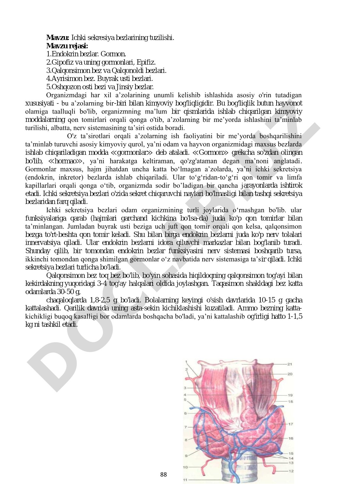 Ichki sekresiya bezlarining tuzilishi