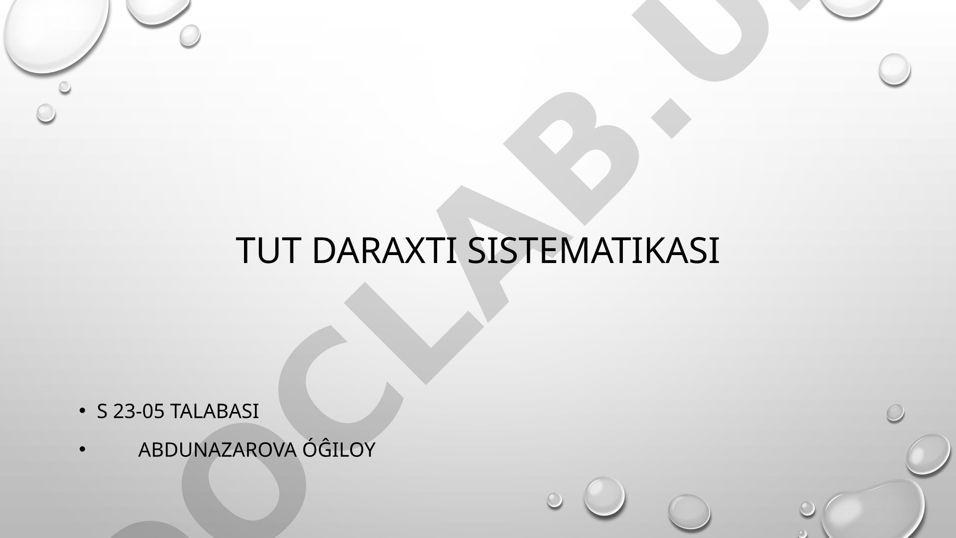 Tut daraxti sistematikasi