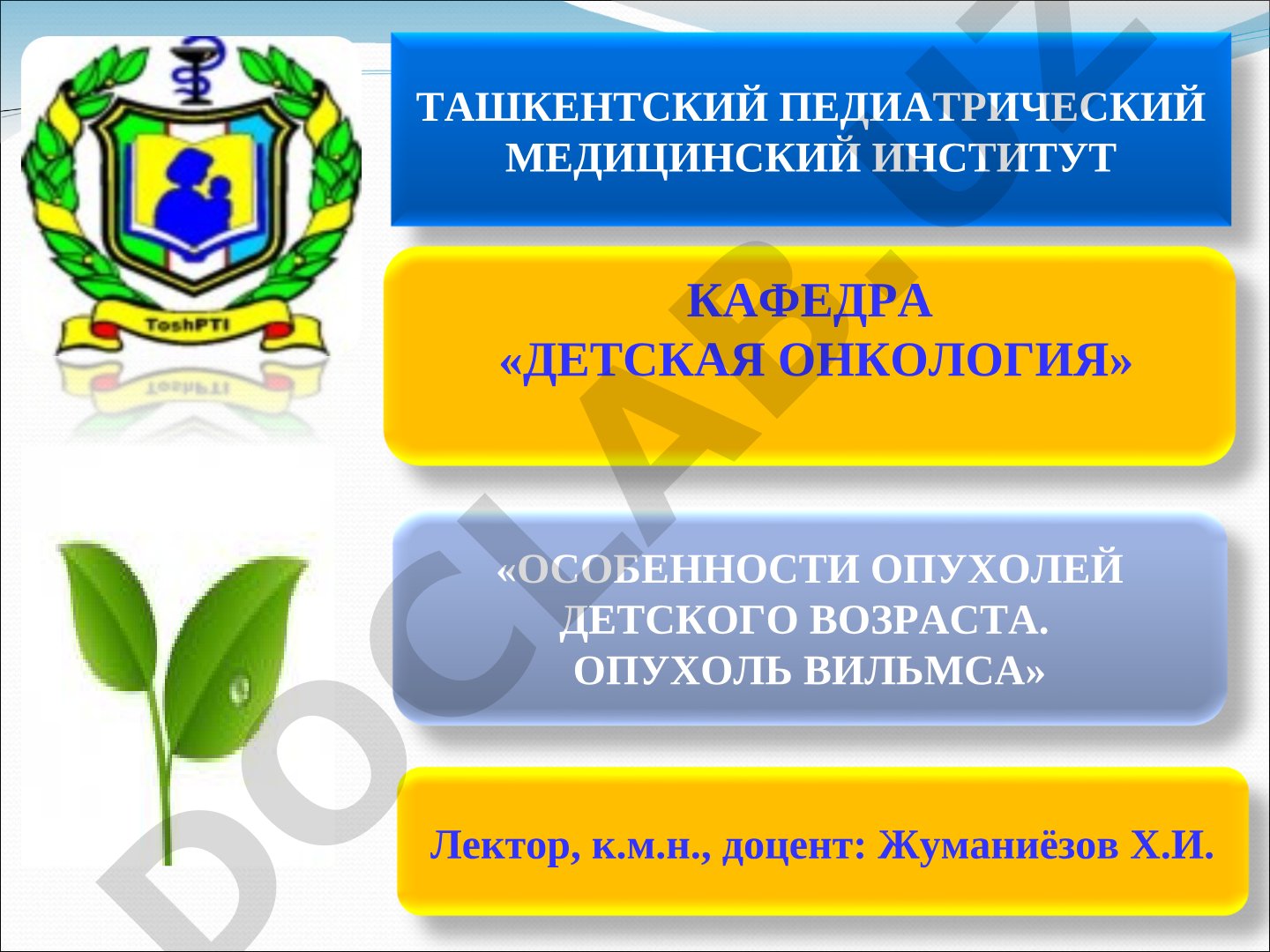 Особенности опухолей детского возраста. Опухоль Вильмса