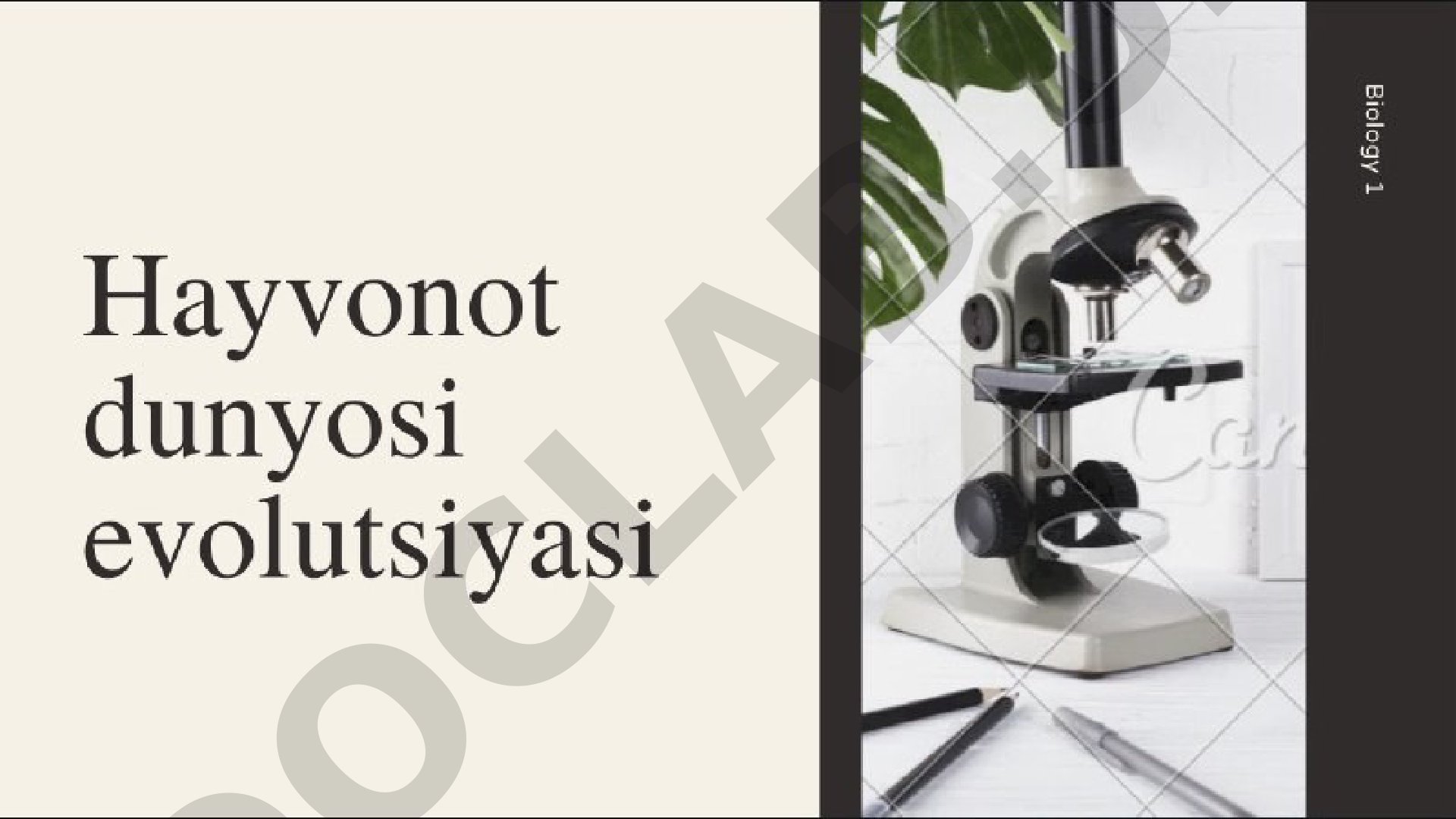 Sunnatullayeva Nodira slaydlari