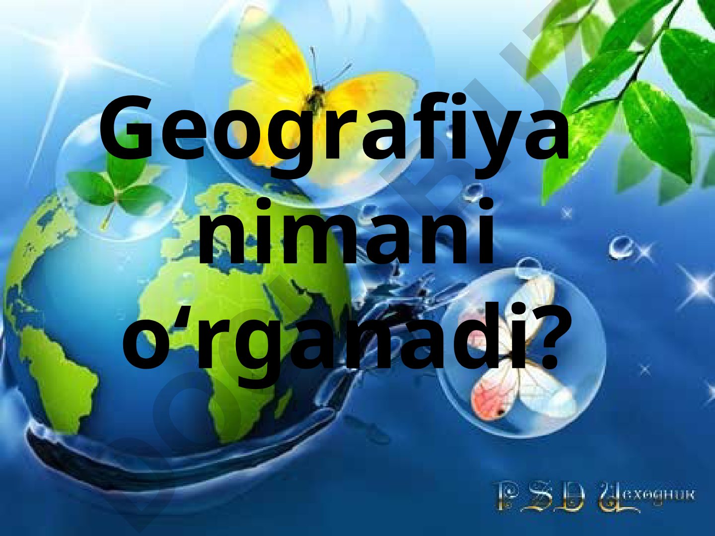 Geografiya fanining asoslari va turlari