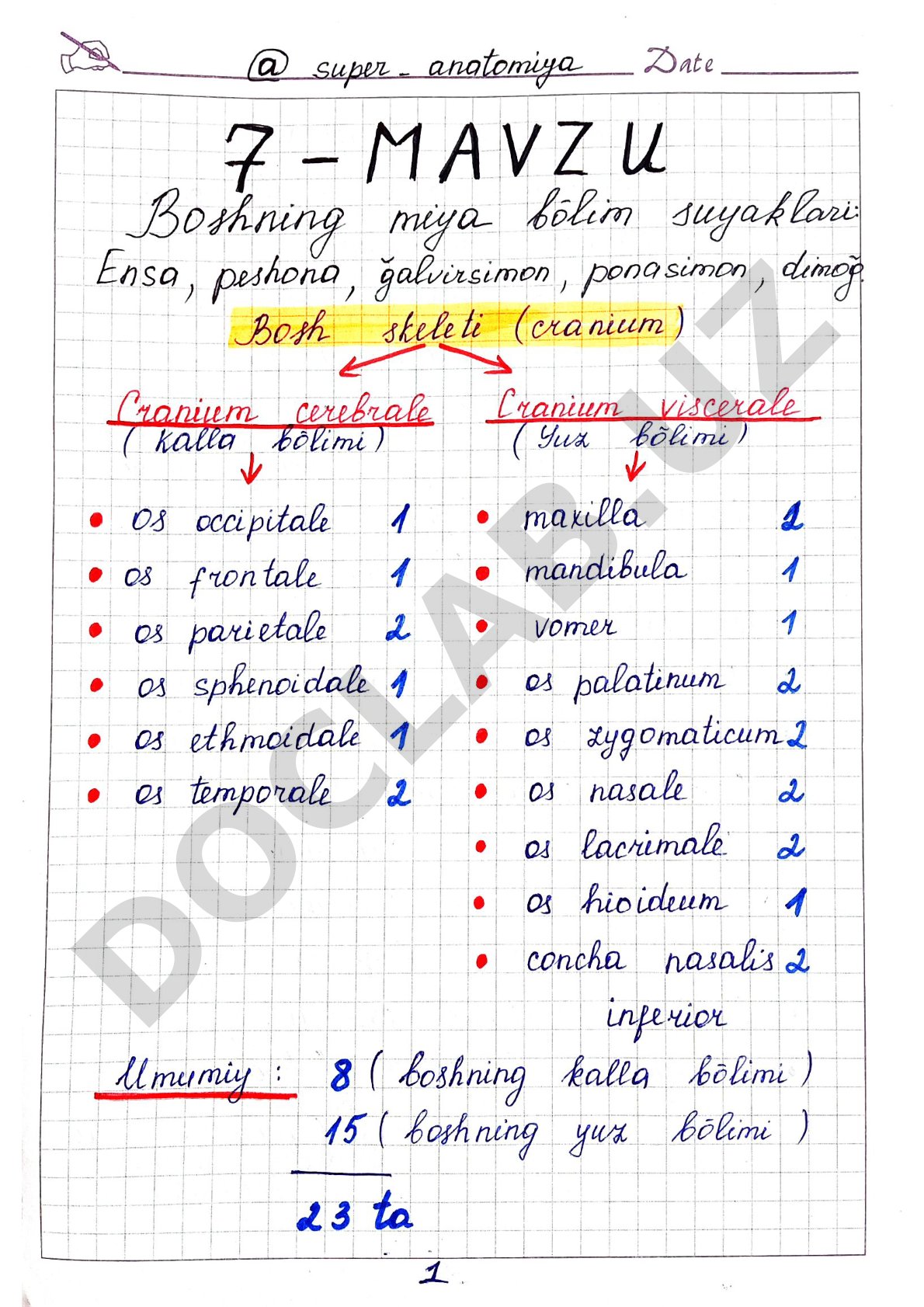 Nomsiz hujjat