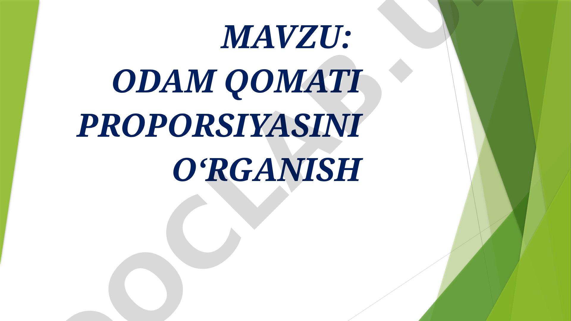 Odam qomati proporsiyasini o‘rganish
