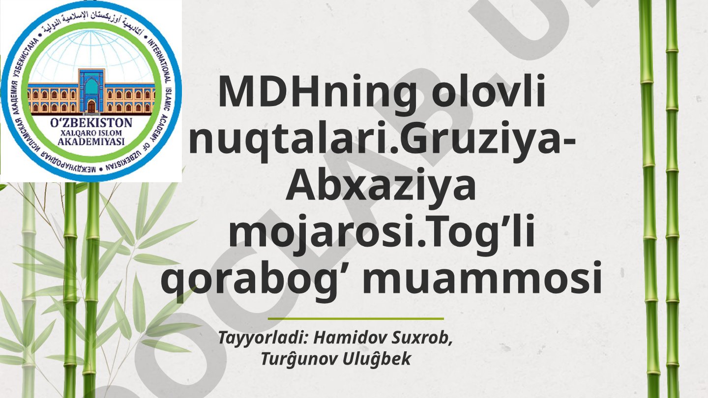 MDHning olovli nuqtalari: Gruziya-Abxaziya mojarosi va Tog'li Qorabog' muammosi