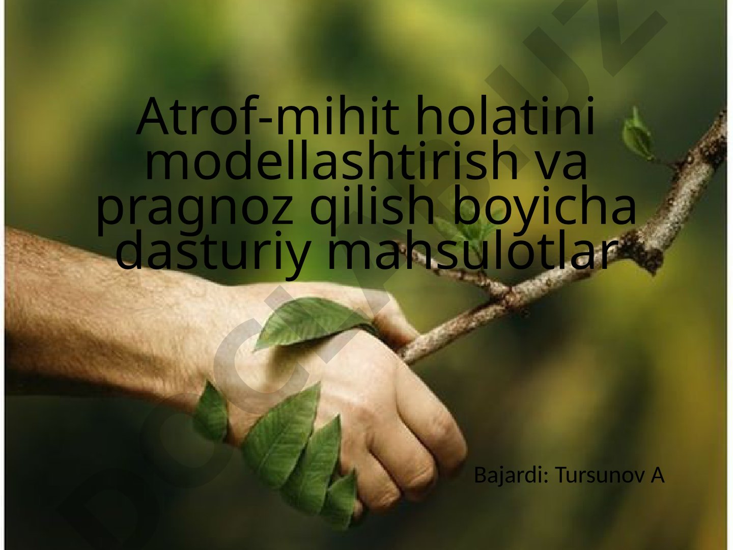 Atrof-muhit holatini modellashtirish va prognoz qilish bo'yicha dasturiy mahsulotlar
