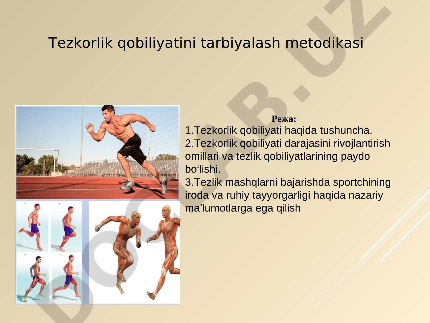 Tezkorlik qobiliyatini tarbiyalash metodikasi