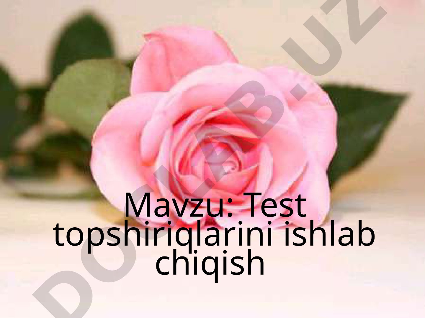 Test topshiriqlarini ishlab chiqish