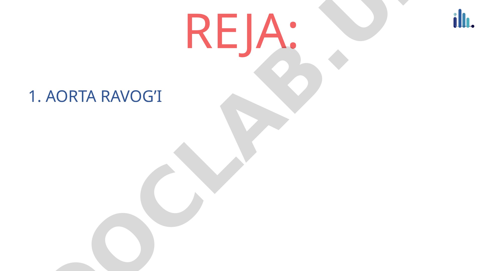 Aorta ravog'i