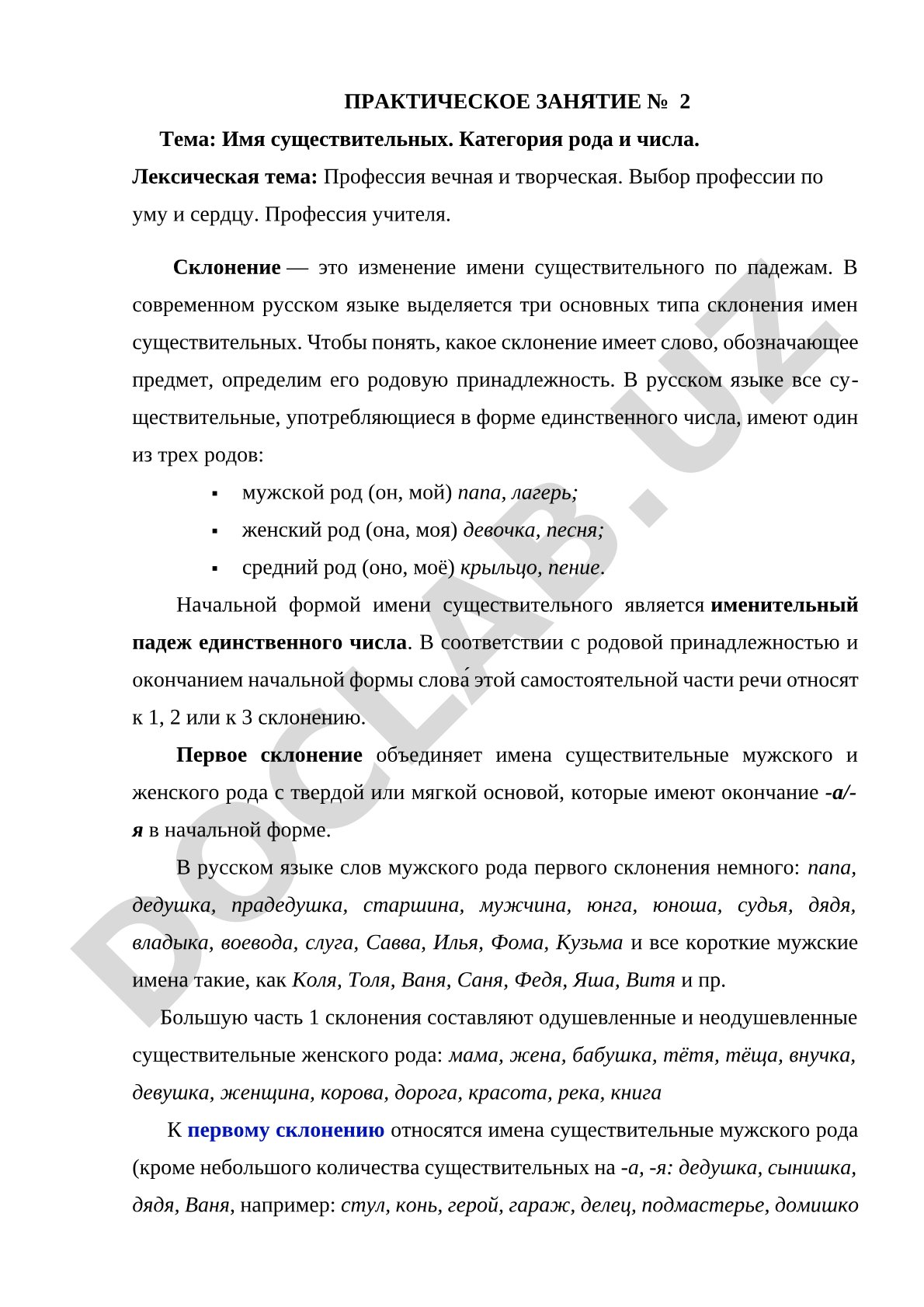 Имя существительных. Категория рода и числа