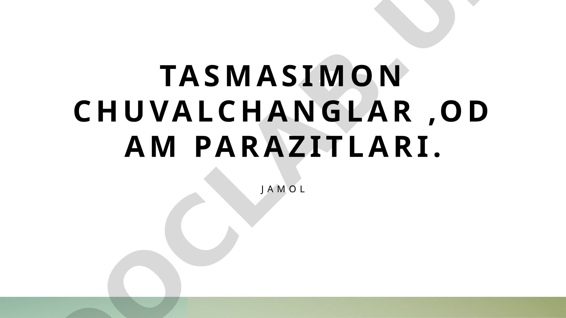 Tasmasimon chuvalchanglar ,odam parazitlari.