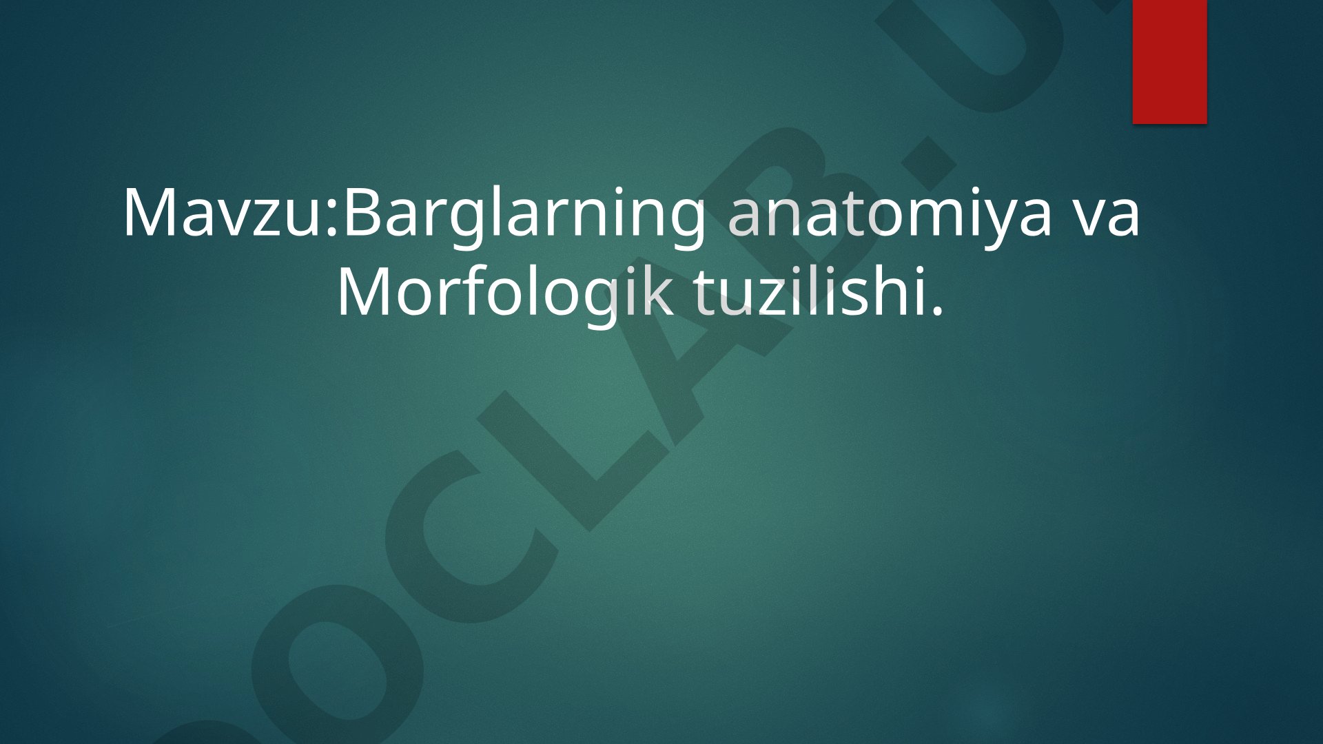 Barglarning anatomiya va Morfologik tuzilishi