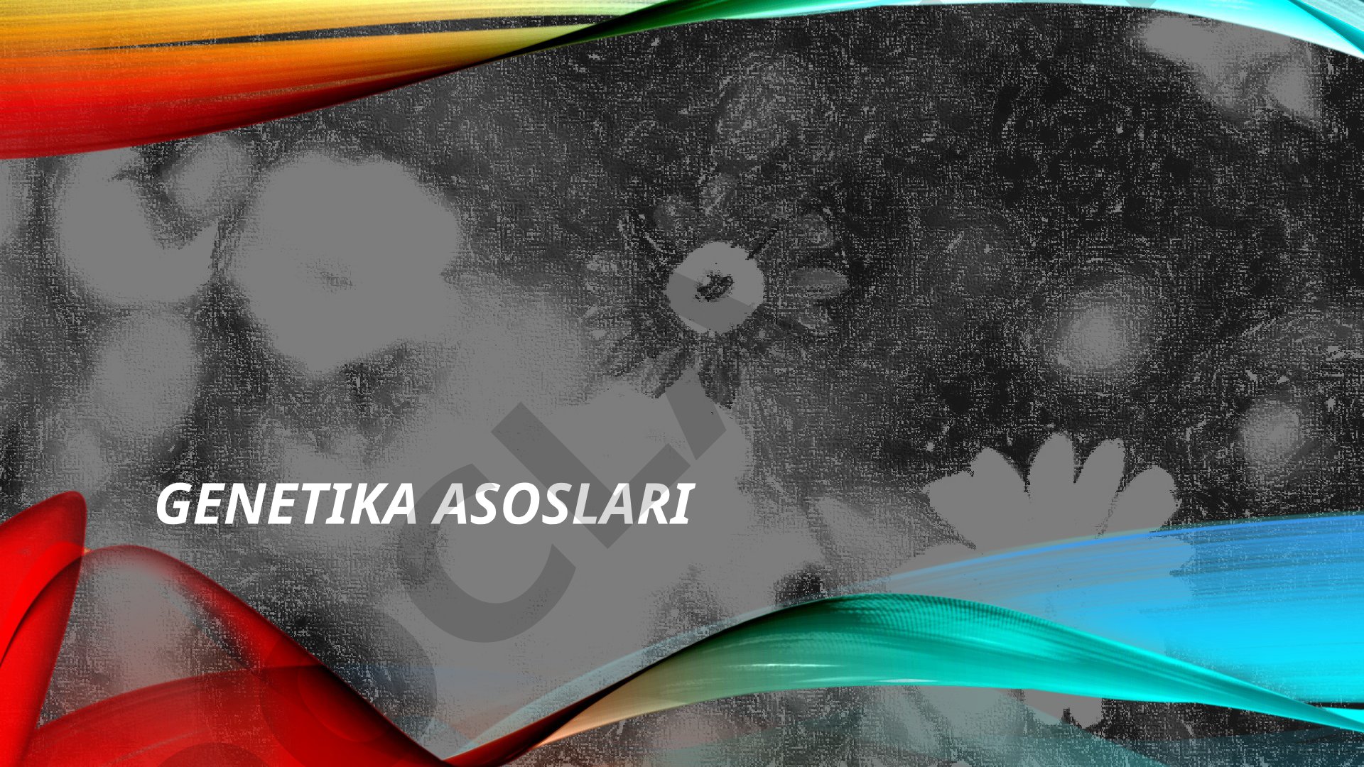 Genetika asoslari: rivojlanish tarixi va Mendel qonunlari