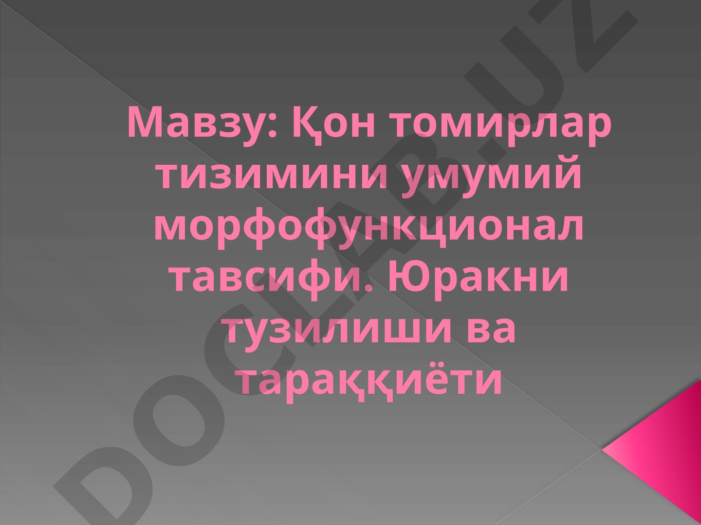 Қон томирлар тизимини умумий морфофункционал тавсифи. Юракни тузилиши ва тараққиёти