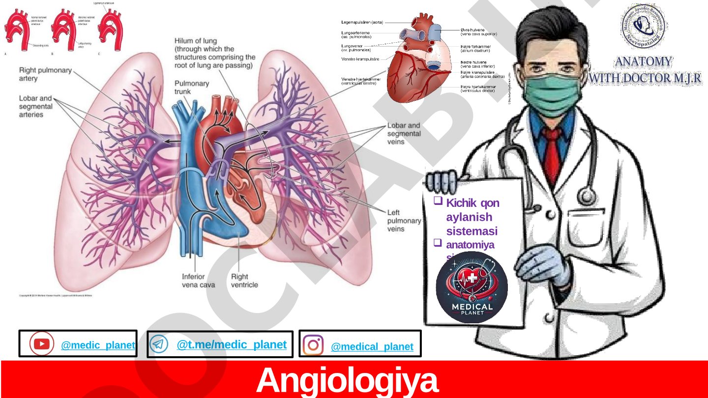 Angiologiya (2) Kichik qon aylanish sistemasi anatomiyasi