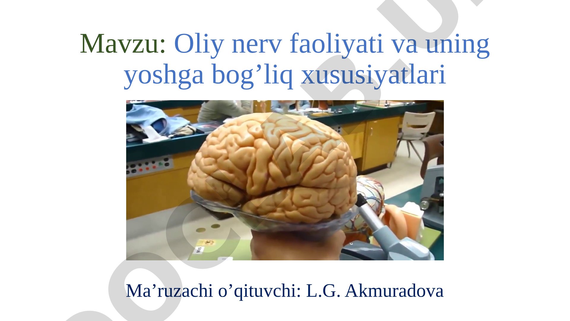 Oliy nerv faoliyati va uning yoshga bog'liq xususiyatlari