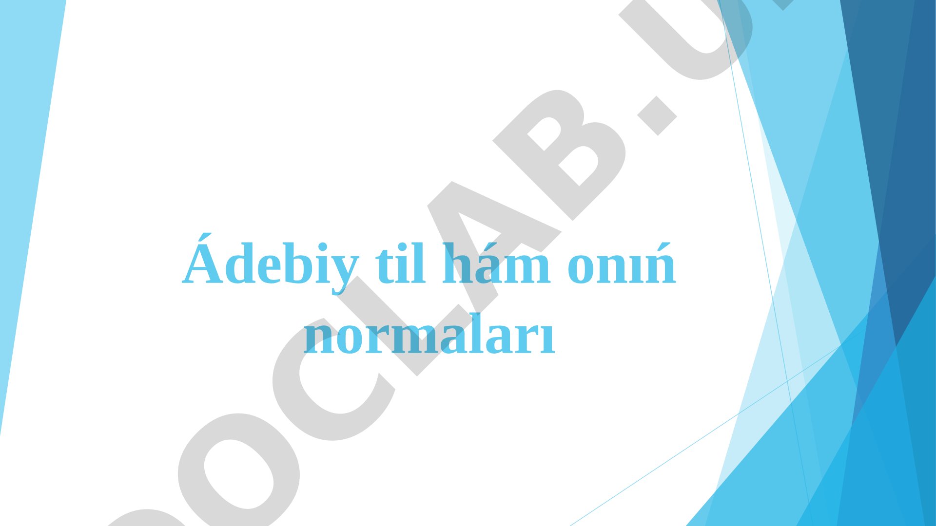 Ádebiy til hám onıń normaları